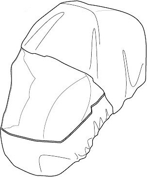 Чохол від дощу 54766 (Shine) (TH 54766) - Robinzon.ua