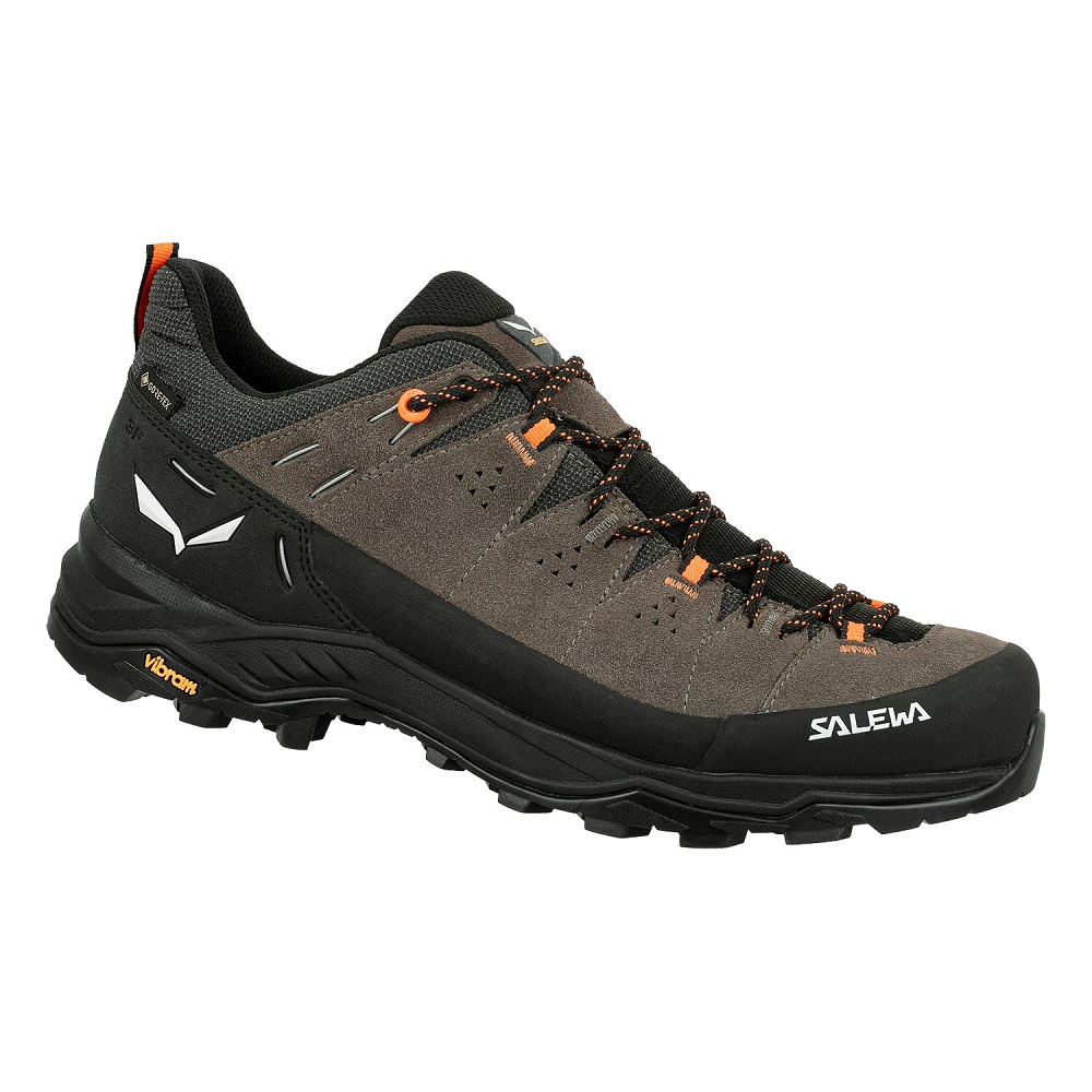 Кросівки чоловічі Salewa ALP Trainer 2 GTX M, brown, 44.5 (61400/7953 10) - 1 - Robinzon.ua
