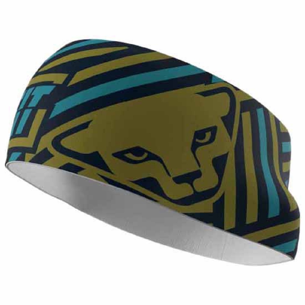 Повязка Dynafit Graphic Performance Headband, green, UNI58 (71275/5471 UNI58) - Robinzon.ua
