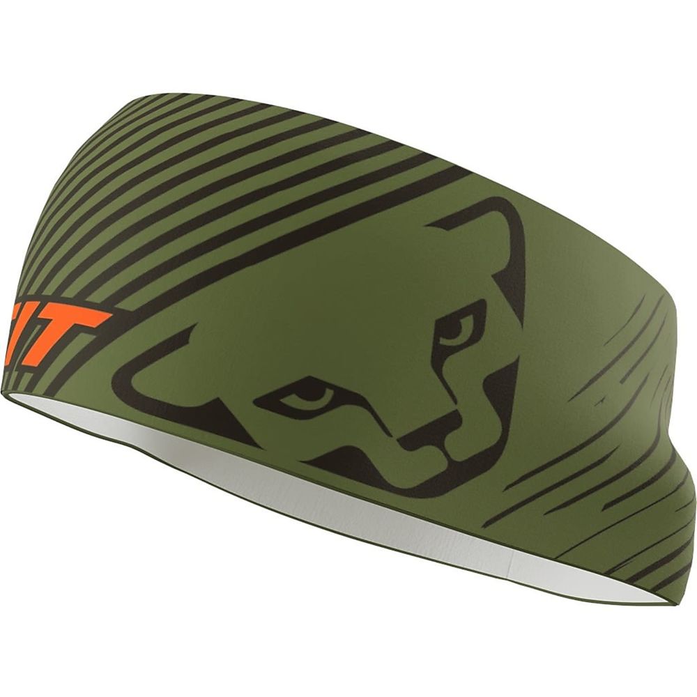 Пов'язка Dynafit GRAPHIC PERFORMANCE HEADBAND, winter moss/exagon camo, One Size (016.002.2474) - 1 - Robinzon.ua