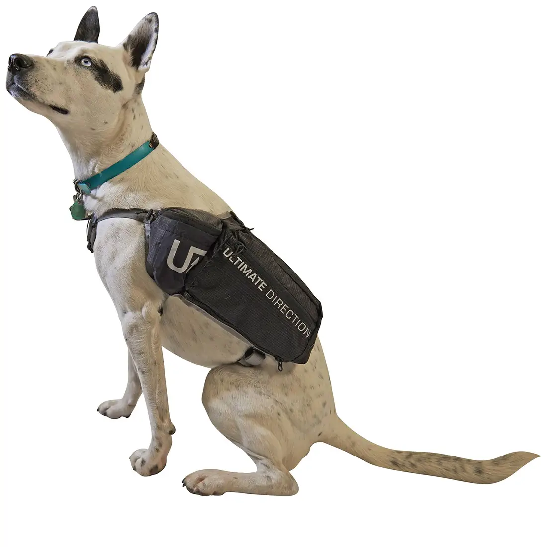 Ultimate Direction рюкзак для собак Dog Vest black M - 1 Ultimate Direction рюкзак для собак Dog Vest black M - 1 - Robinzon.ua