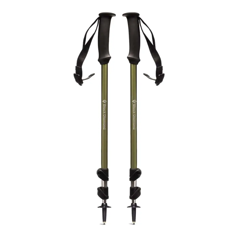 Трекінгові телескопічні палиці Black Diamond Trail Explorer 3, 58-135 см, Burnt Olive (BD 112229.3023) - Robinzon.ua