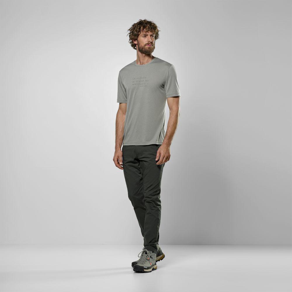 Футболка чоловіча Salewa EAGLE POEM DRY T-SHIRT M 28912 5130 - 54/2X - серый - 3 - Robinzon.ua