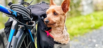 Аксесуари для велосипедів